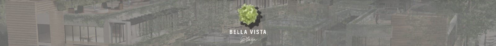 Bv Plaza