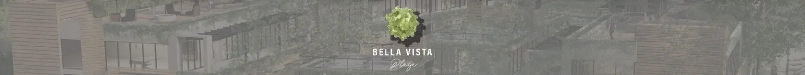 Bv Plaza