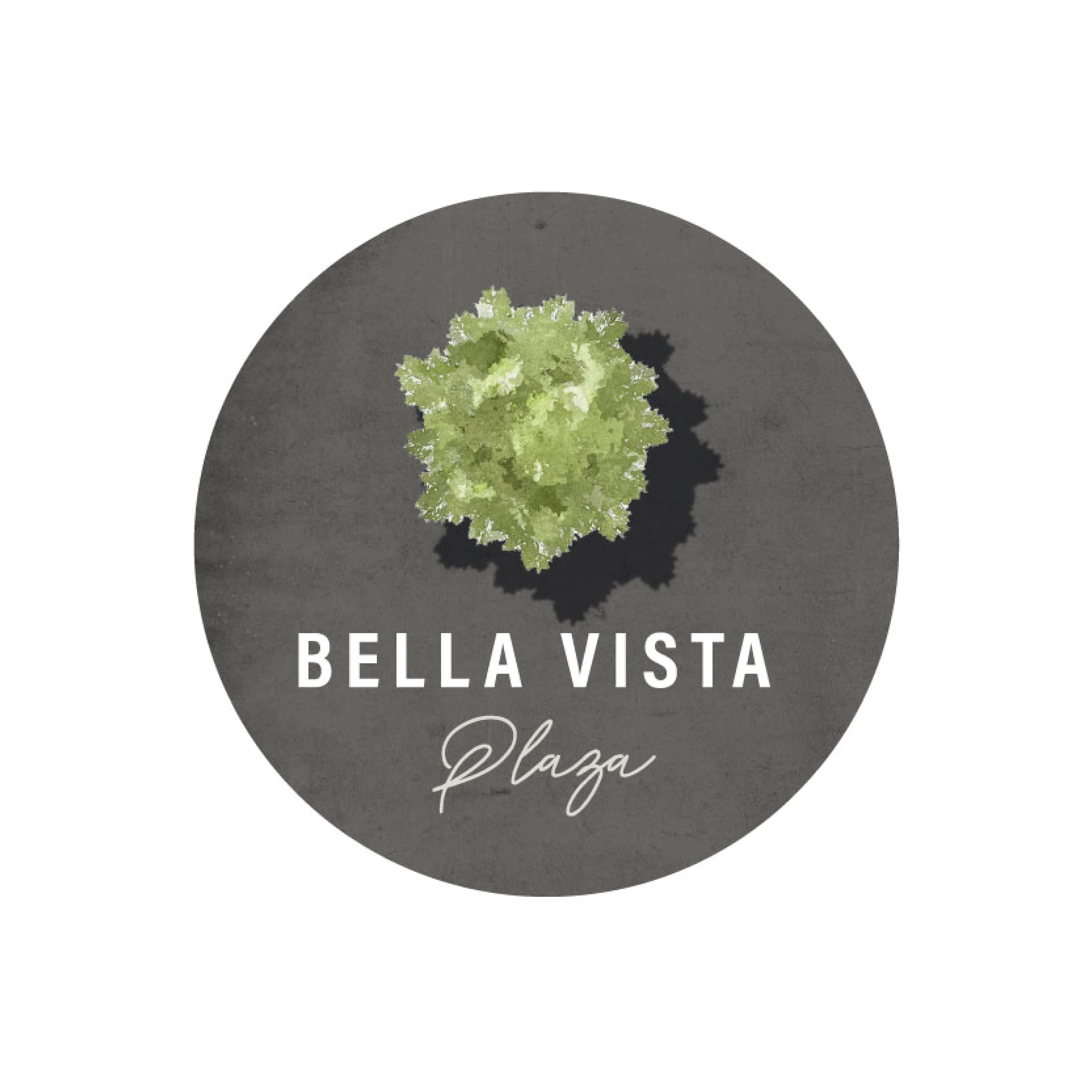 Bella Vista Plaza_,