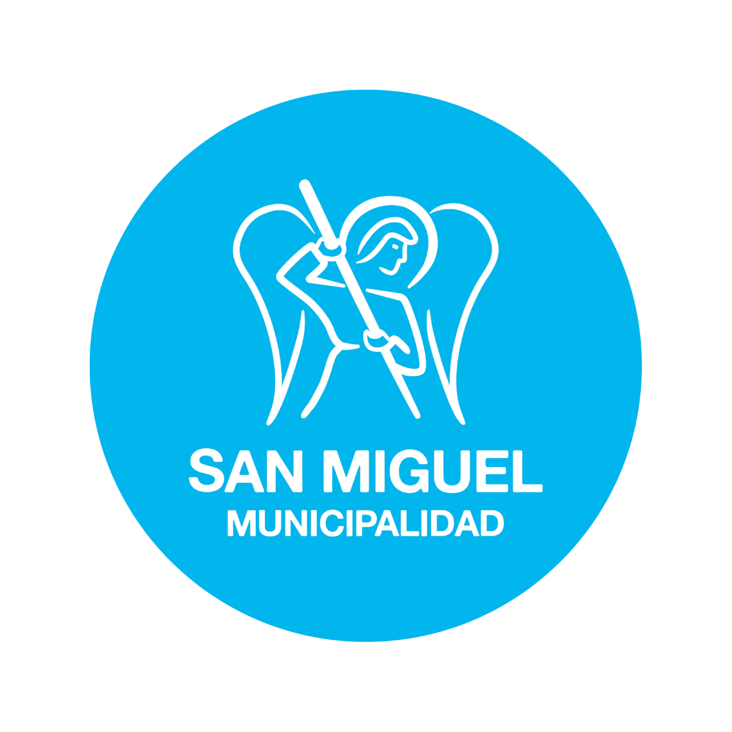 MUNICIPALIDAD SAN MIGUEL