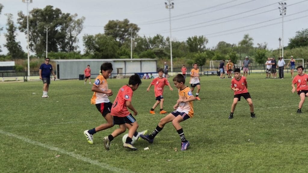 Galería del campeonato