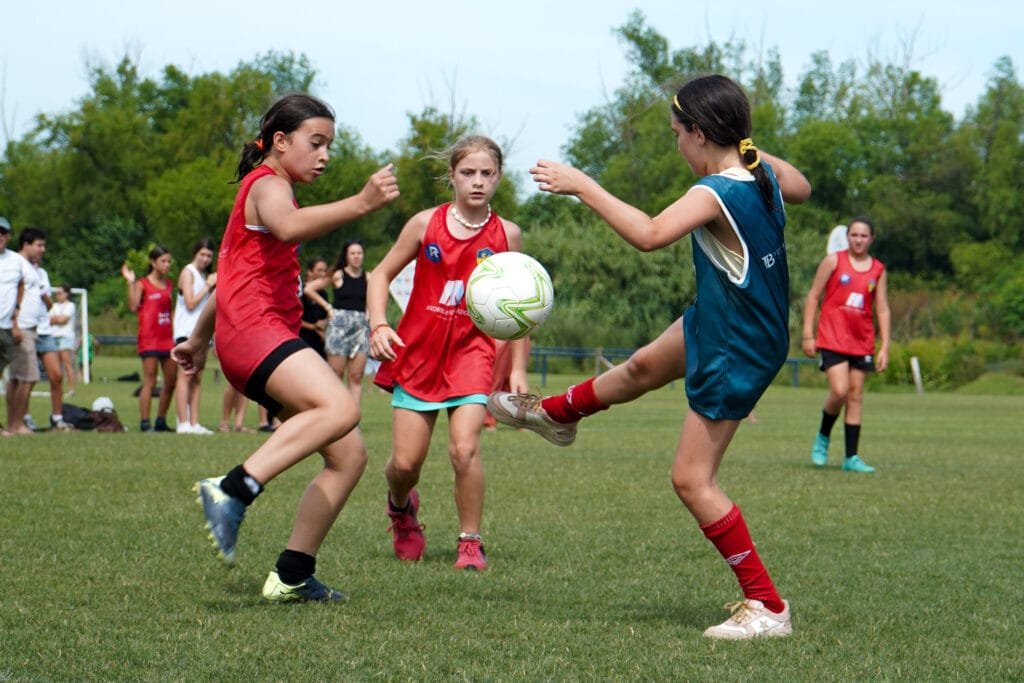 Galería del campeonato